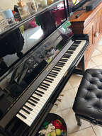 Pleyel P131 (2000)