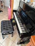 Pleyel P131 (2000)