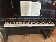 Pleyel P131 (2000)
