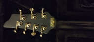 Schecter Loomis