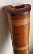 Shakuhachi 1.8 en R&eacute; Ji-ari