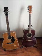 Vds/Ech Suzuki Nagoya SD337 Guitare Folk Vintage Rare