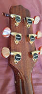 Guitare TAKAMINE SANTA FE TSF40C