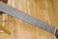 Tanglewood Evolution TW28CE X OV Ovangkol