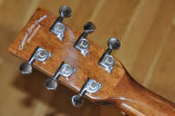 Tanglewood Evolution TW28CE X OV Ovangkol