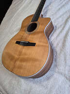 Taylor 214ce-N