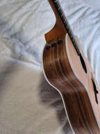 Taylor 214ce-N
