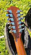 Taylor 555-CE 12 cordes gaucher left lefty