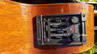 Taylor 555-CE 12 cordes gaucher left lefty