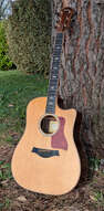 Taylor 810ce-l10 fall limited edition 2005