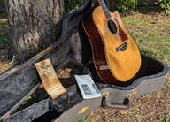 Taylor 810ce-l10 fall limited edition 2005