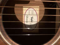 Taylor GS Mini E-Koa Plus
