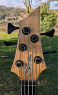 Tom Marceau 'Delicate' Basse 5 cordes