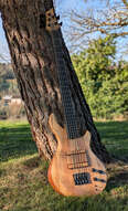 Tom Marceau 'Delicate' Basse 5 cordes