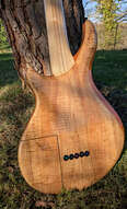 Tom Marceau 'Delicate' Basse 5 cordes