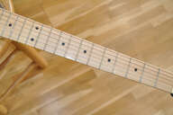 Traveler EDA Ultra Light Edge Acoustic (Made In USA)