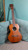 Ukulele Cordoba TM20