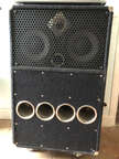 Warwick Terminator + T&ecirc;te ProTube IX - 2x450 Watt