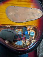 ZON Sonus 5 Fretless - 2013 - Burled Maple