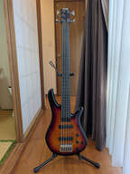 ZON Sonus 5 Fretless - 2013 - Burled Maple