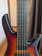 ZON Sonus 5 Fretless - 2013 - Burled Maple