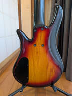 ZON Sonus 5 Fretless - 2013 - Burled Maple