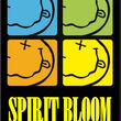 spirit bloom - tribute nirvana