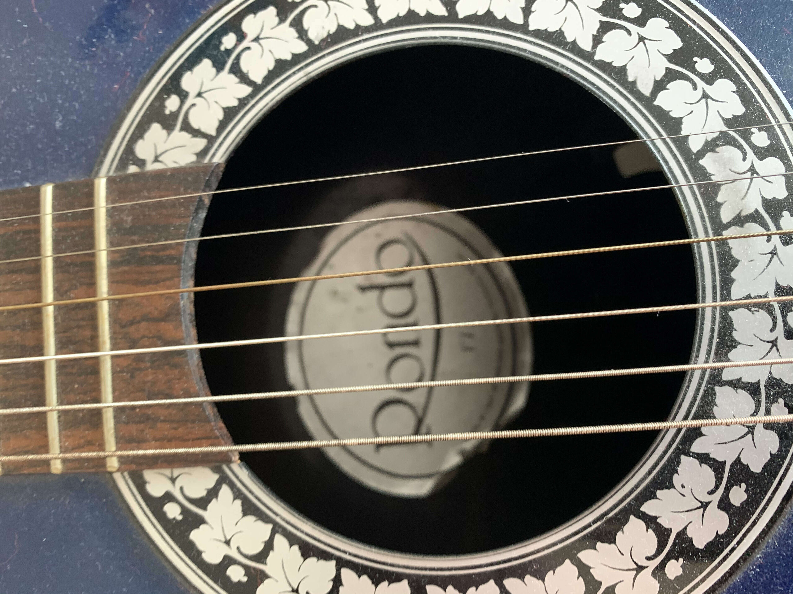 guitare indienne en 5 lettres
