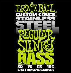 Ernie Ball 2842