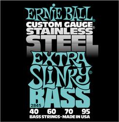 Ernie Ball 2845