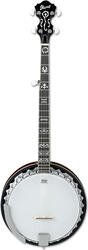 Ibanez B100