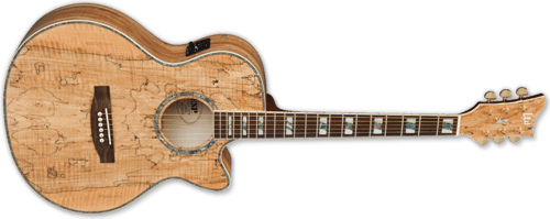 LTD EW-SM Spalted Maple NAT (Natural Gloss)