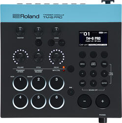 Roland TM-6 Pro