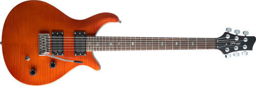 Stagg R500