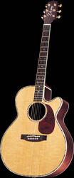 Takamine TNV460SC