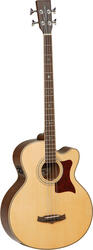 Tanglewood TW155 A