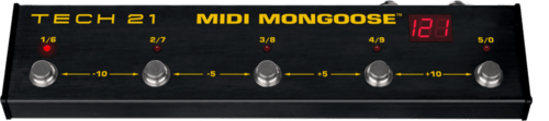 Tech 21 MIDI Mongoose