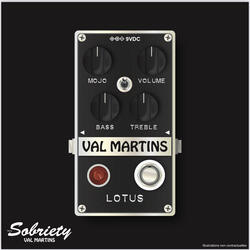 Val Martins Lotus