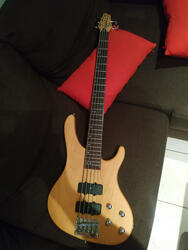 Washburn XB500