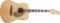 Fender Elvis Kingman