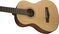 Fender MA-1 3/4 Steel