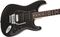 Fender Standard Stratocaster HSS with Floyd Rose Black