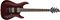 Schecter C-1 Standard