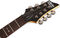 Schecter Omen-7 Walnut Satin (WSN)