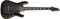 Schecter Omen Extreme-7 See-Thru Black (STBLK)