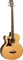 Tanglewood Version gaucher (TW155 A LH)