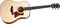 Taylor 110e