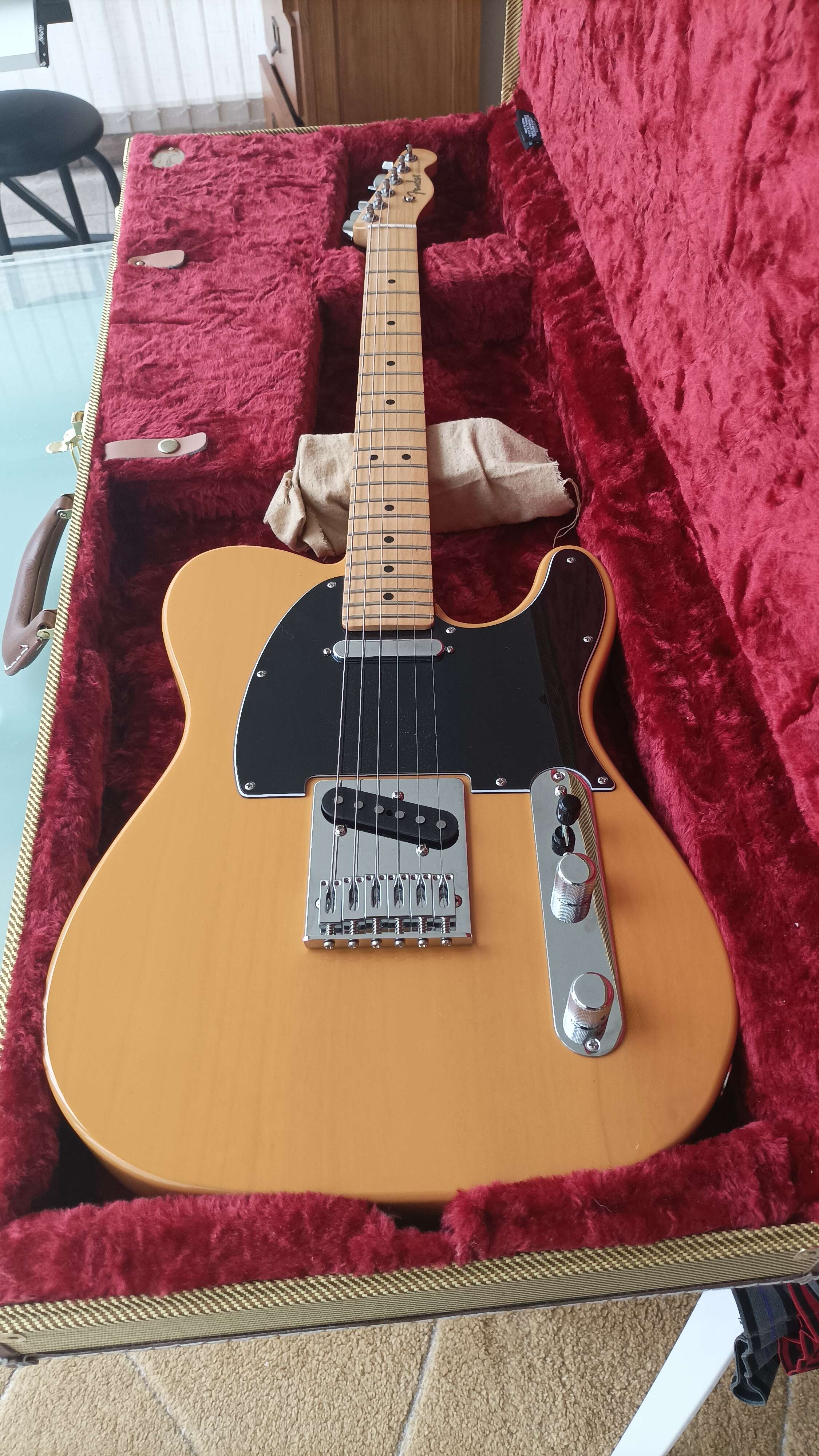 Fender Player